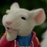 Stuart