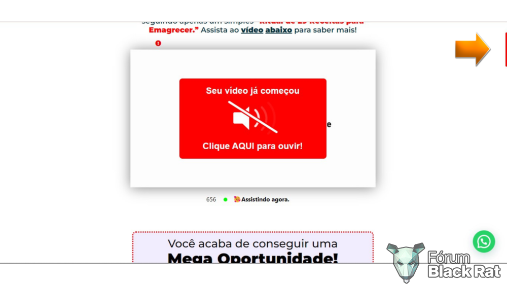O resultado.png
