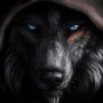 shdwolf