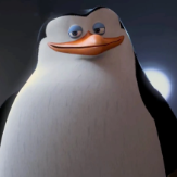 Capitão