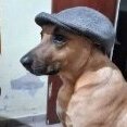 frio ecãoculista