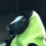 CavaloLimao