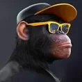 crazymonkey
