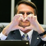 Bolsomito Ads