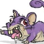 Ratatá
