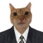 Sr. Serpe