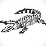 crocodile