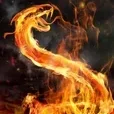 Snake Burn