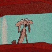 Wile E. Coyote