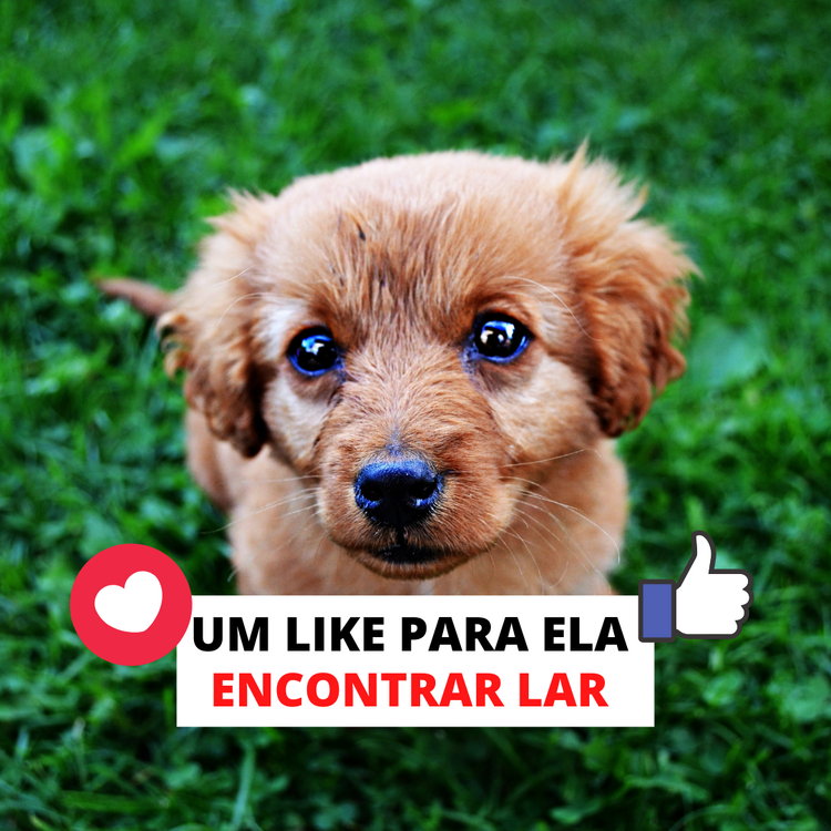 2017927769_UMLIKEPARAELA(2).thumb.png.4ddd9e8699b6f0a2f33b125401d30e66.png