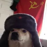 Doguinho Comunista