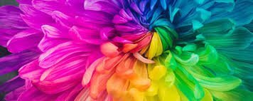 image.jpeg.571b580420bb83432cfc4c81e1c5e285.jpeg