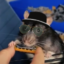 blues.rat