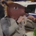 Cavalo Finch