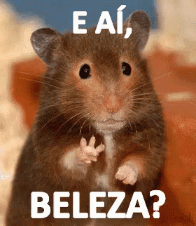 image.gif.863b195d3f60d05cf0b7db7288aa3413.gif