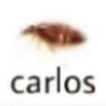 CarIos