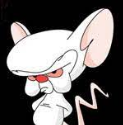 Brain