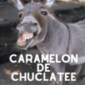 O quebrador de jegue