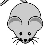 ratogordo