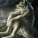 lobo pidao