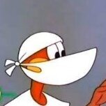 dr.chucrute