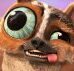 Zoi de Gato