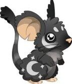 transformice