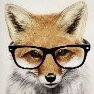 Senhor Raposo